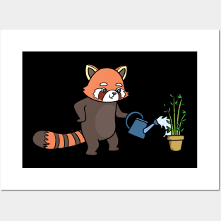 Red Panda gardens Posters and Art
